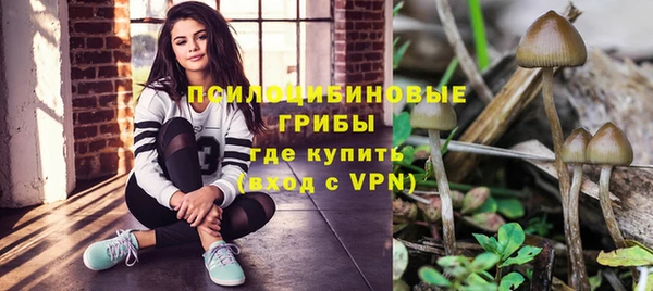 трава Краснослободск