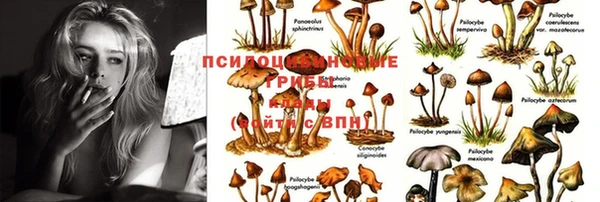 дистиллят марихуана Абаза